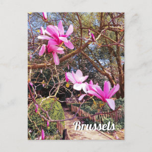 Brüssel Belgien - Foto Postkarte