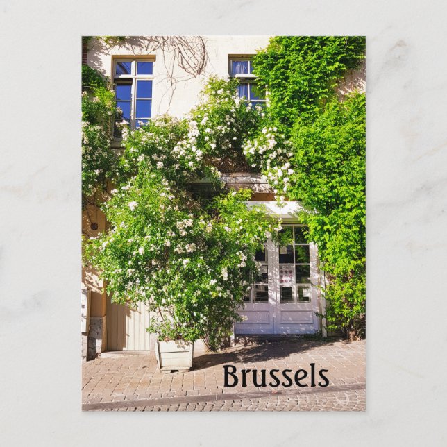 Brüssel Belgien Street Foto Postkarte (Vorderseite)