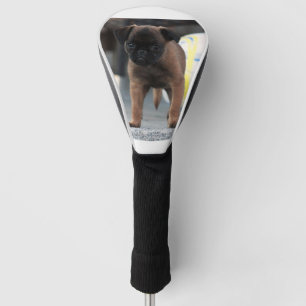 Brussel-Gänsefront Golf Headcover
