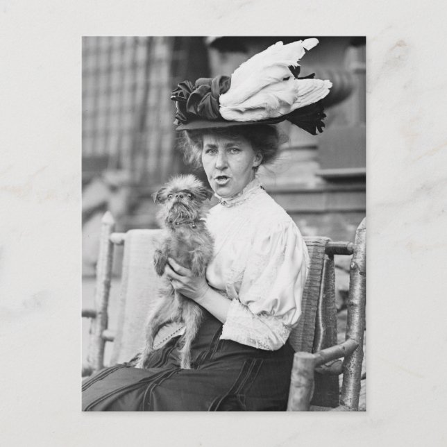 Brüssel Griffon, Anfang der 1900er Jahre Postkarte (Vorderseite)