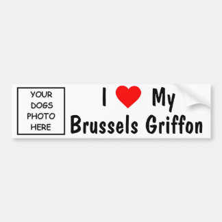 Brüssel Griffon Autoaufkleber