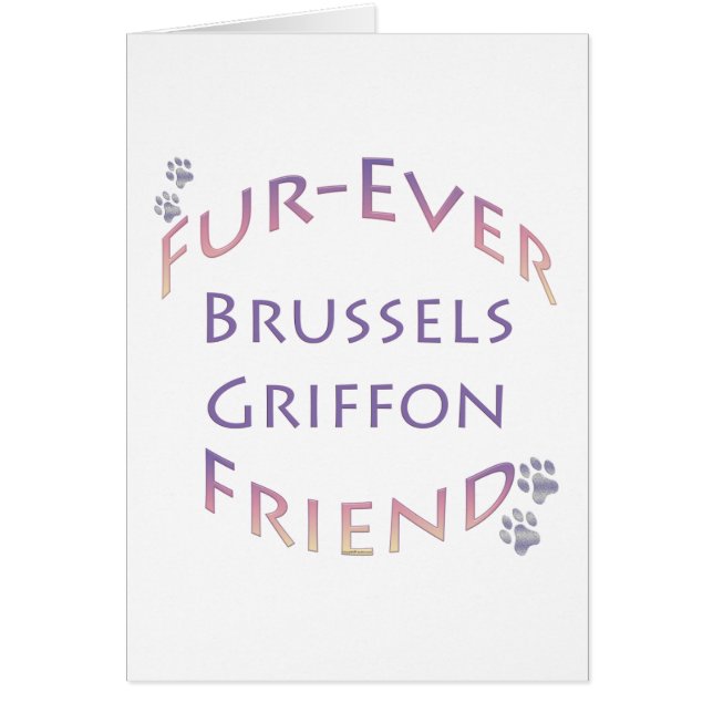 Brüssel Griffon Furever (Vorne)