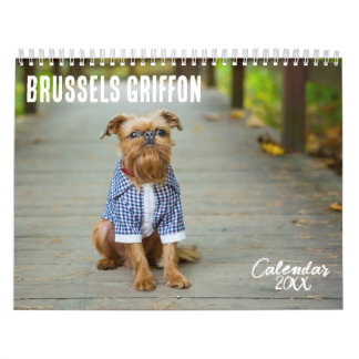 Brüssel-Griffon-Kalender 2026 Kalender