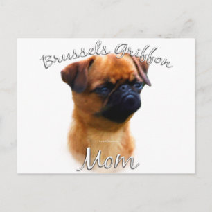 Brüssel Griffon Mama 2 Postkarte