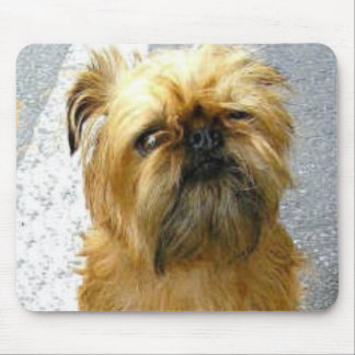 Brüssel Griffon Mousepad