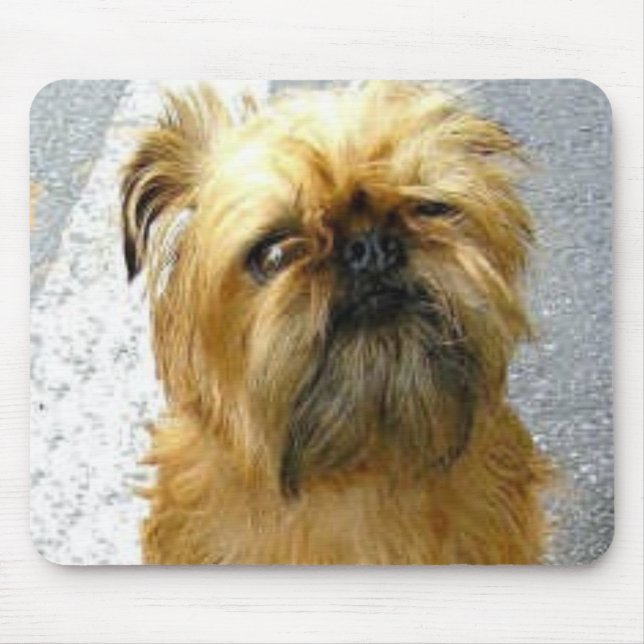 Brüssel Griffon Mousepad (Vorne)