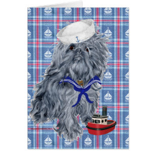 Brüssel Griffon Sailor