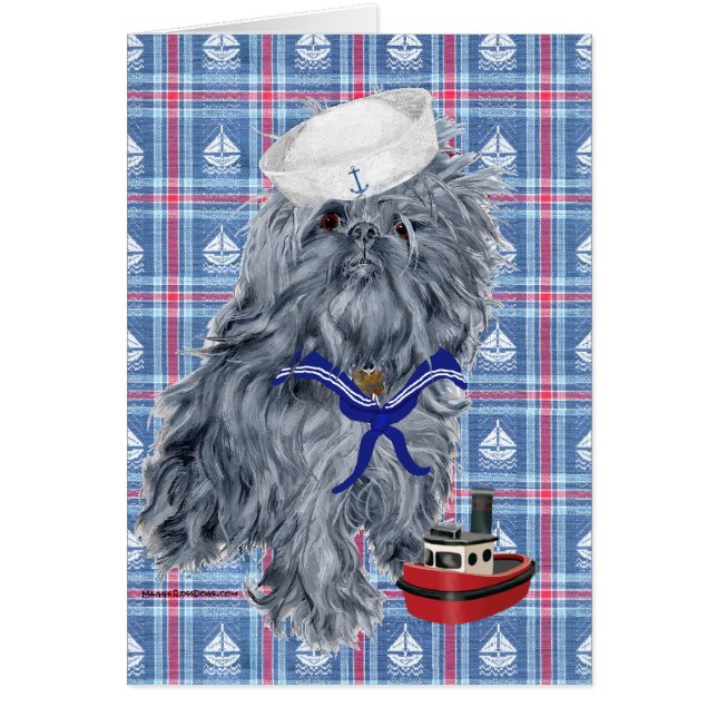 Brüssel Griffon Sailor (Vorne)