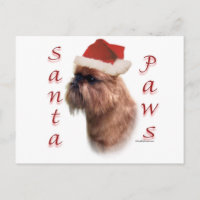 Brüssel Griffon Santa Paws