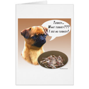 Brüssel Griffon Türkei