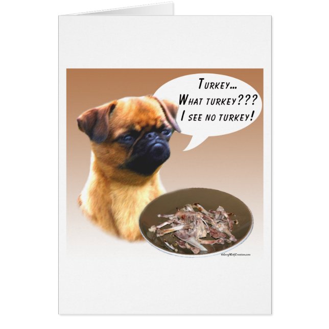 Brüssel Griffon Türkei (Vorne)