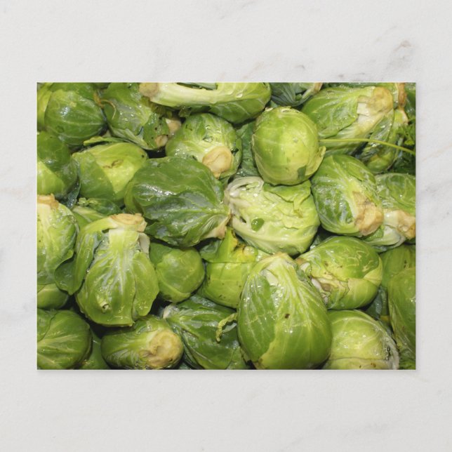Brussel Sprouts Postkarte (Vorderseite)