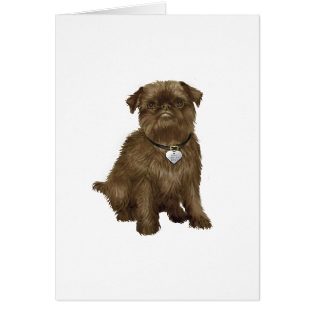 Brüsseler Griffon #2 (braun) (Vorne)