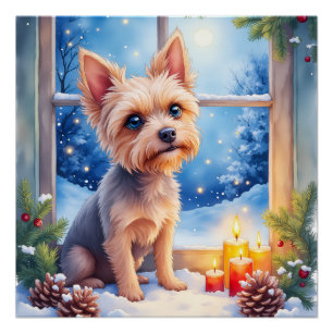Brüsseler Griffon Frostiertes Fenster Weihnachtsku Poster