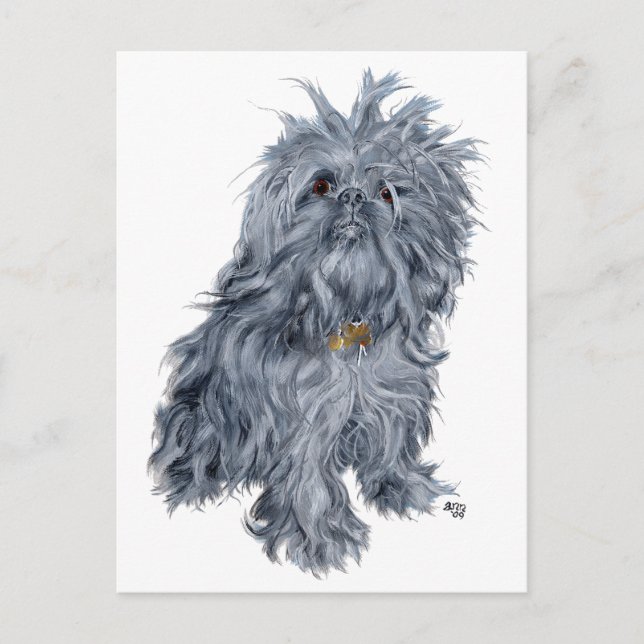 Brüsseler Griffon Postkarte (Vorderseite)