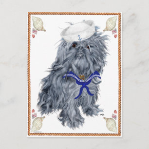 Brüsseler Griffon Seemann Postkarte