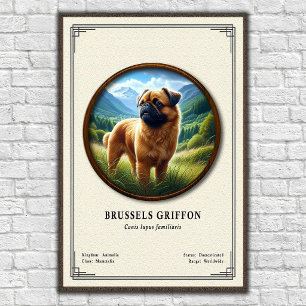 Brüsseler Griffon Zoologie-Serie Poster