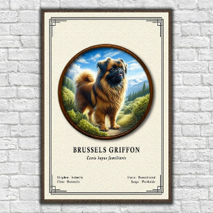 Brüsseler Griffon Zoologie-Serie Poster