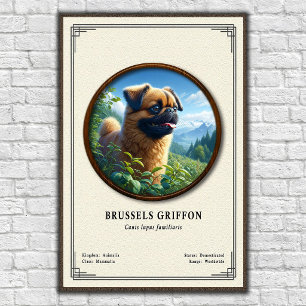 Brüsseler Griffon Zoologie-Serie Poster