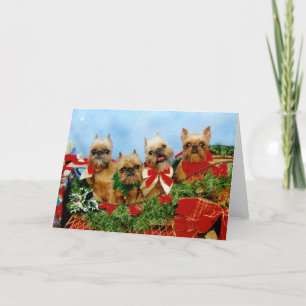 Brussells Griffon Dog Christmas Card Feiertagskarte