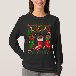 Brussels Griffon Dog in Christmas Socks Lights Xma T-Shirt