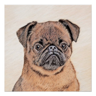 Brussels Griffon Smooth Painting Original Dog Art Poster