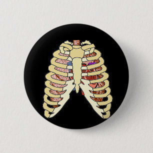 Brustkorb-Lungen u. Herz Button