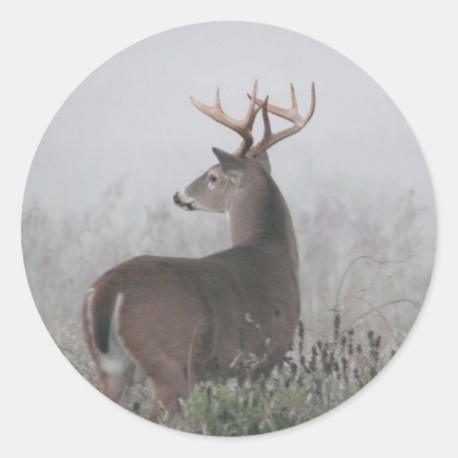 Brutalität Runder Aufkleber (Vorderseite)