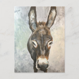Brutus Miniature Donkey Post Card Postkarte