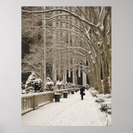 Bryant Park Snow Poster