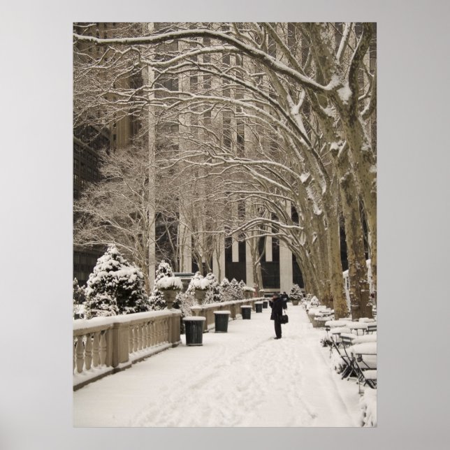 Bryant Park Snow Poster (Vorne)