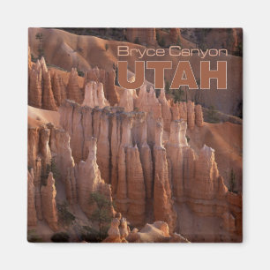 Bryce Canyon Foto Utah Souvenir Kühlschrankmagnete Magnet