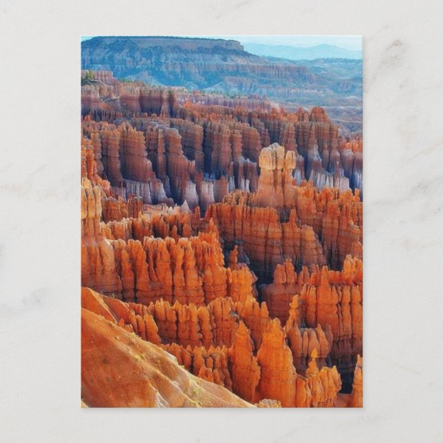 Bryce Canyon Hoodoos Postkarte (Vorderseite)