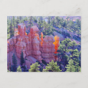 Bryce Canyon Leuchtend Postkarte