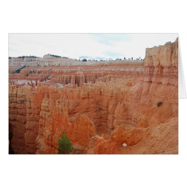 Bryce Canyon National Park, Utah, Card (Vorderseite (Horizontal))