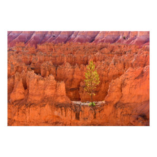 Bryce Canyon National Park, Utah, USA Fotodruck