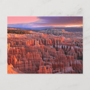 Bryce Canyon Nationalpark Foto Postkarte