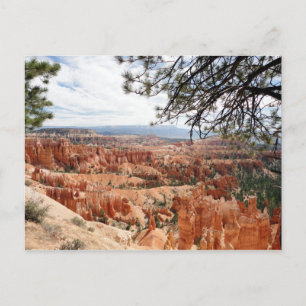 Bryce Canyon Nationalpark Hoodoos Postkarte