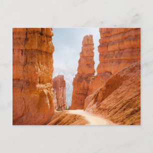 Bryce Canyon Nationalparkroute Postkarte