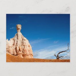 Bryce Canyon NP - Gnome und eine Baumpostkarte Postkarte