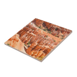 Bryce Canyon Park Utah Landscape Hoodoos Photo Fliese