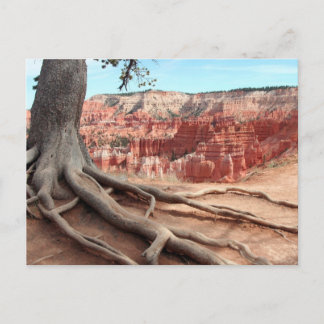 Bryce Canyon Postcard Postkarte