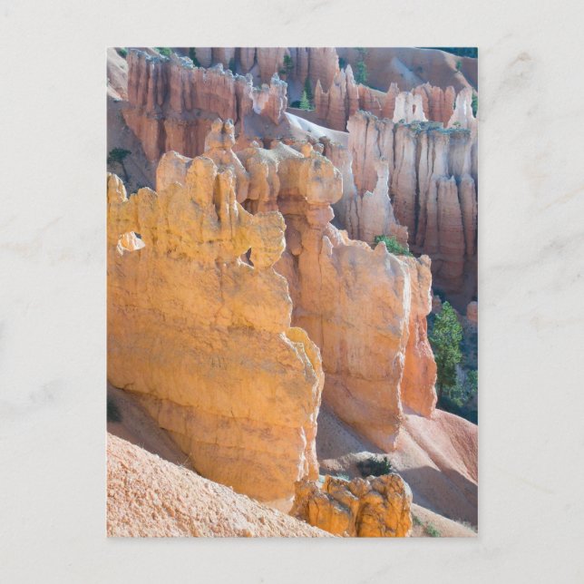 Bryce Canyon Postkarte (Vorderseite)