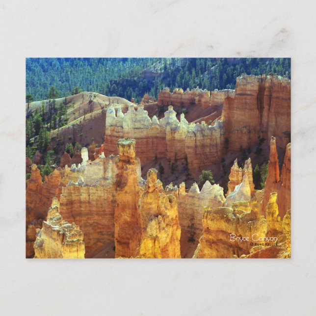 Bryce Canyon Postkarte (Vorderseite)