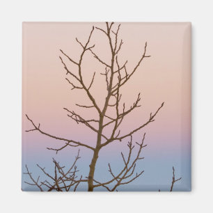Bryce Canyon, Utah. Bare tree vor Sonnenuntergang Magnet
