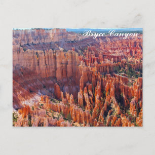 Bryce Canyon Utah Hoodoos Postkarte