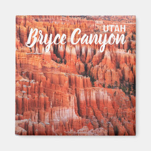 Bryce Canyon Utah Magnet