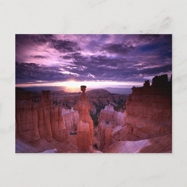 Bryce Canyon Utah Nationalpark Thors Hammer Schlic Postkarte (Vorderseite)
