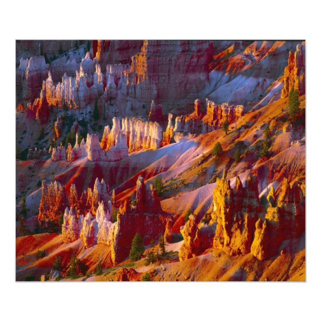 Bryce Canyon, Utah, USA 2 Fotodruck (Vorne)