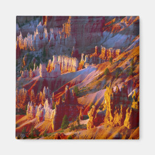 Bryce Canyon, Utah, USA 2 Magnet